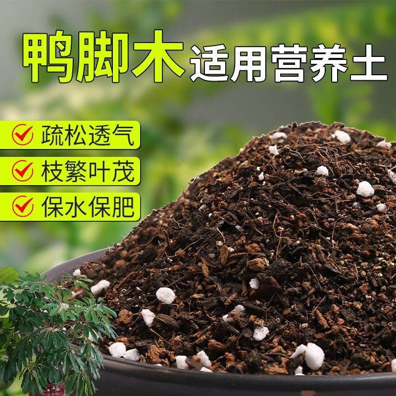 【鸭脚木专用土】疏松透气盆栽绿植专用室内植物有机营养土肥料
