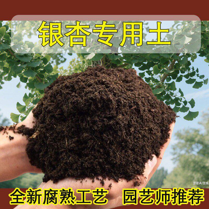 银杏树专用土银杏树配方土盆栽通用肥料花泥土营养土通用种植土壤