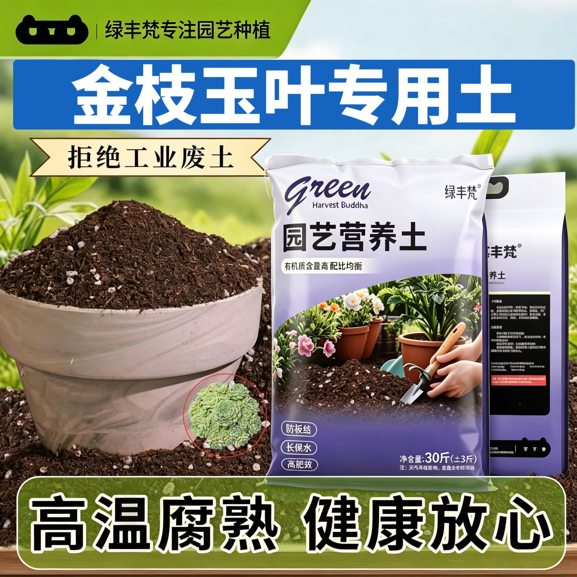 金枝玉叶适用盆景土疏松透气不板结盆栽加深生根粉精选增色观叶图片