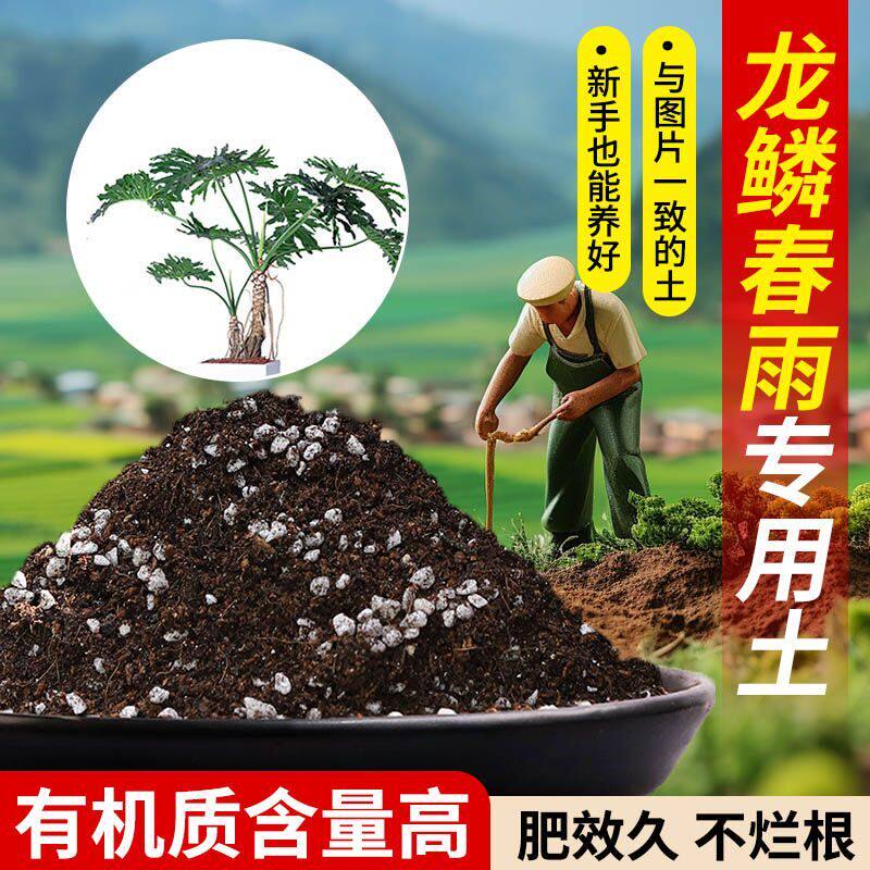 蓝莓营养土专用疏松透气含泥炭肥料通用有机种植土适用土轻质土壤