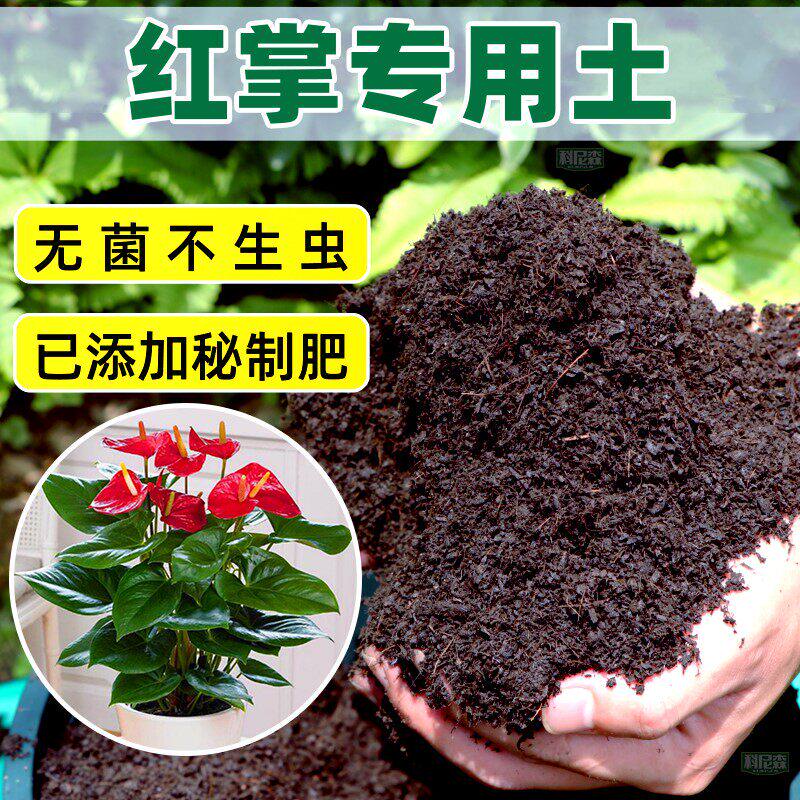 红掌专用土种花营养土家用盆栽绿植种植土壤养花植物通用有机花土