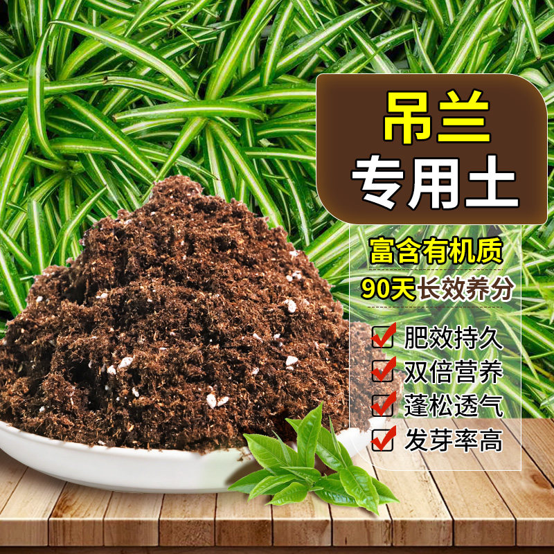 吊兰专用花泥富含有机质栽植盆栽土质地松软增色无草籽观花多肉
