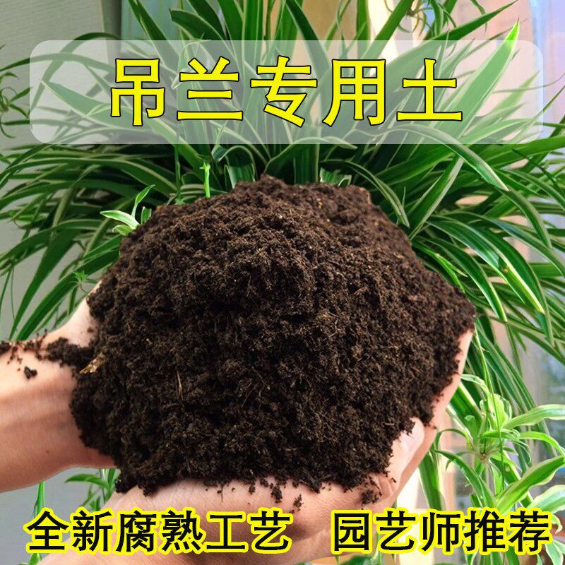 吊兰专用土营养土养花专用通用种养金边吊兰的土壤泥土有机种植土