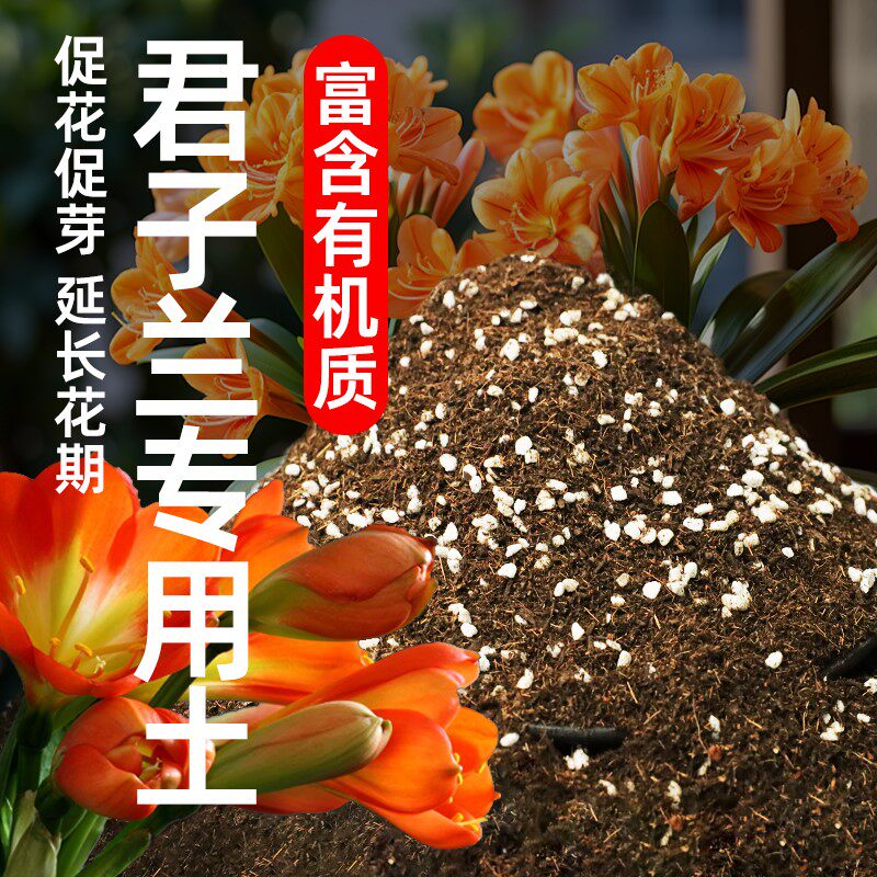 养君子兰专用土花土君子兰专用营养土肥料栽种盆栽土专用肥换盆土