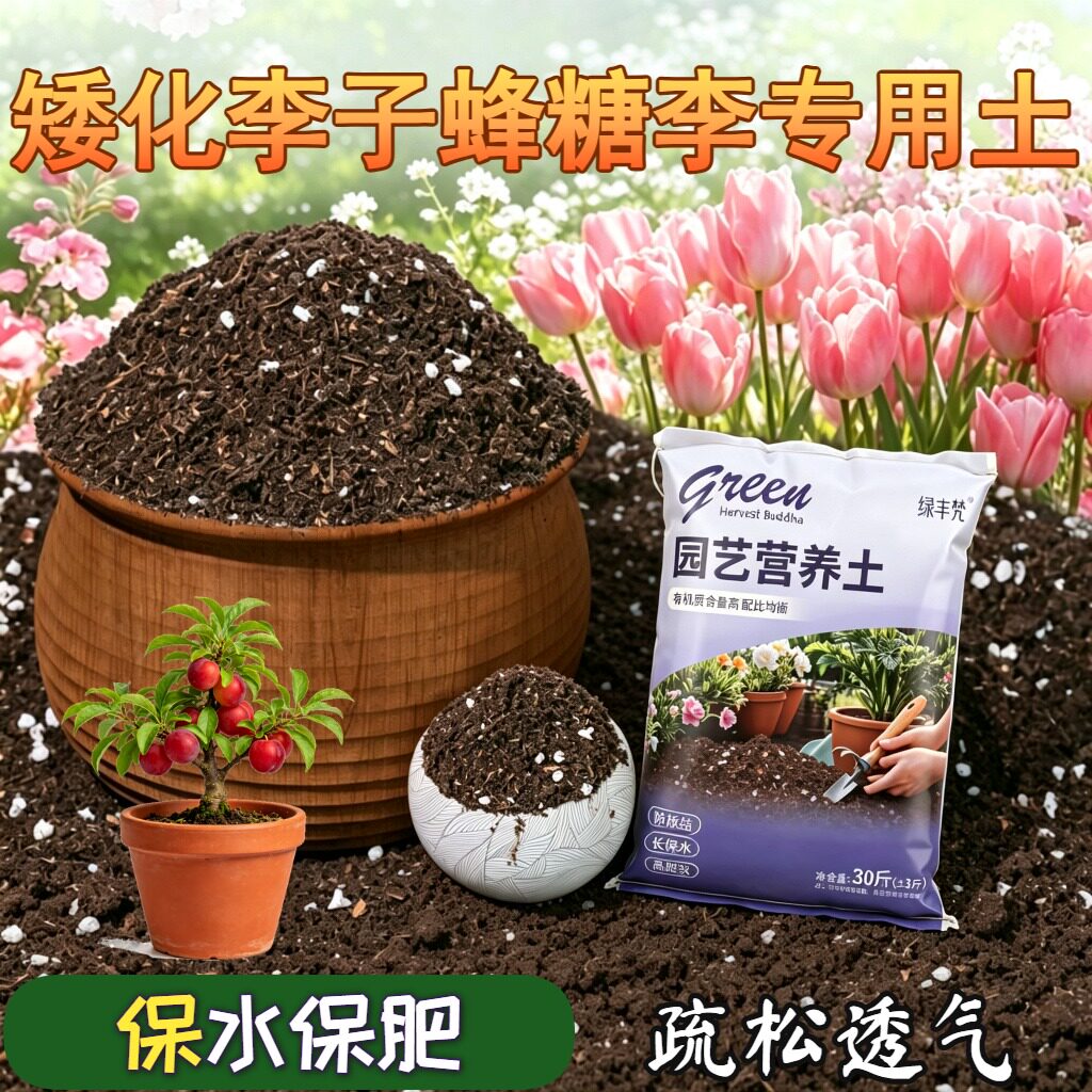 矮化李子蜂糖李专用含泥炭高温灭菌家庭园艺包邮无菌防黄叶喜酸
