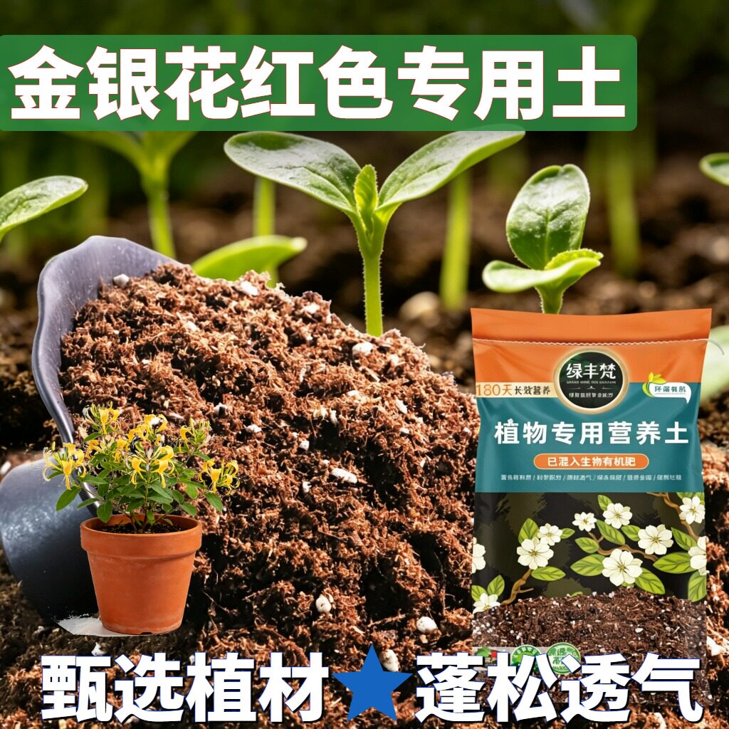 金银花红色适用花泥天然原料种植土洁净基质舒缓根系试用装观叶