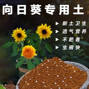 向日葵专用土通用型营养土盆栽花卉绿植土壤种菜土透气不板结特配