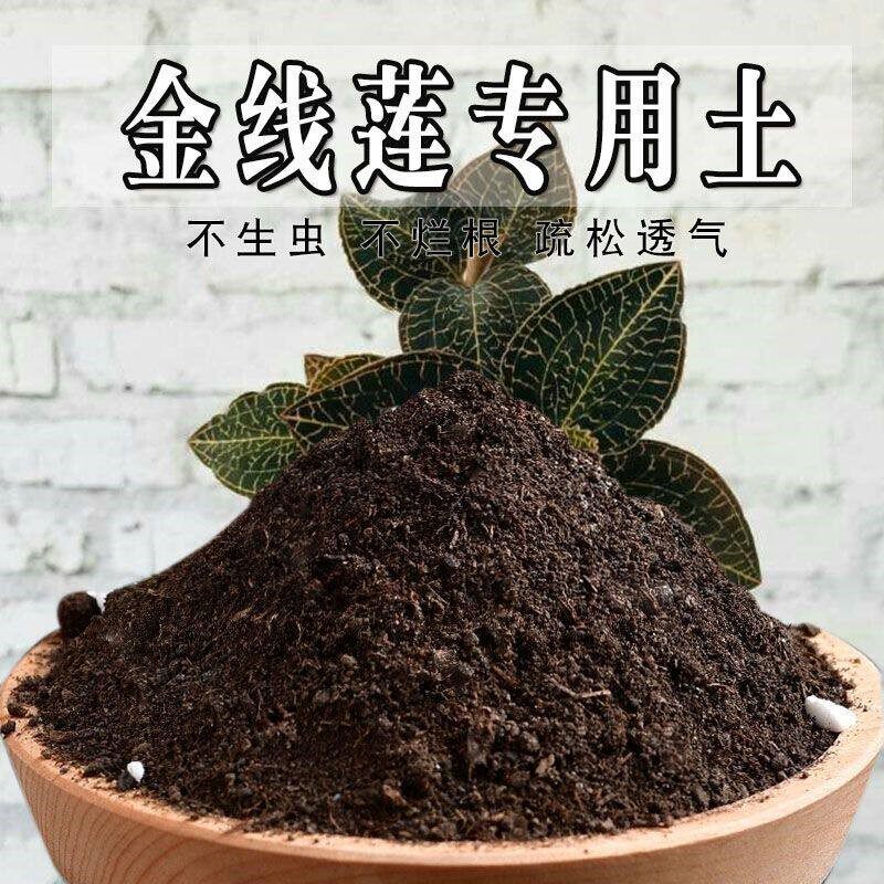 金线莲专用土金线莲专用营养土盆栽土养花种花土通用种植土壤肥料
