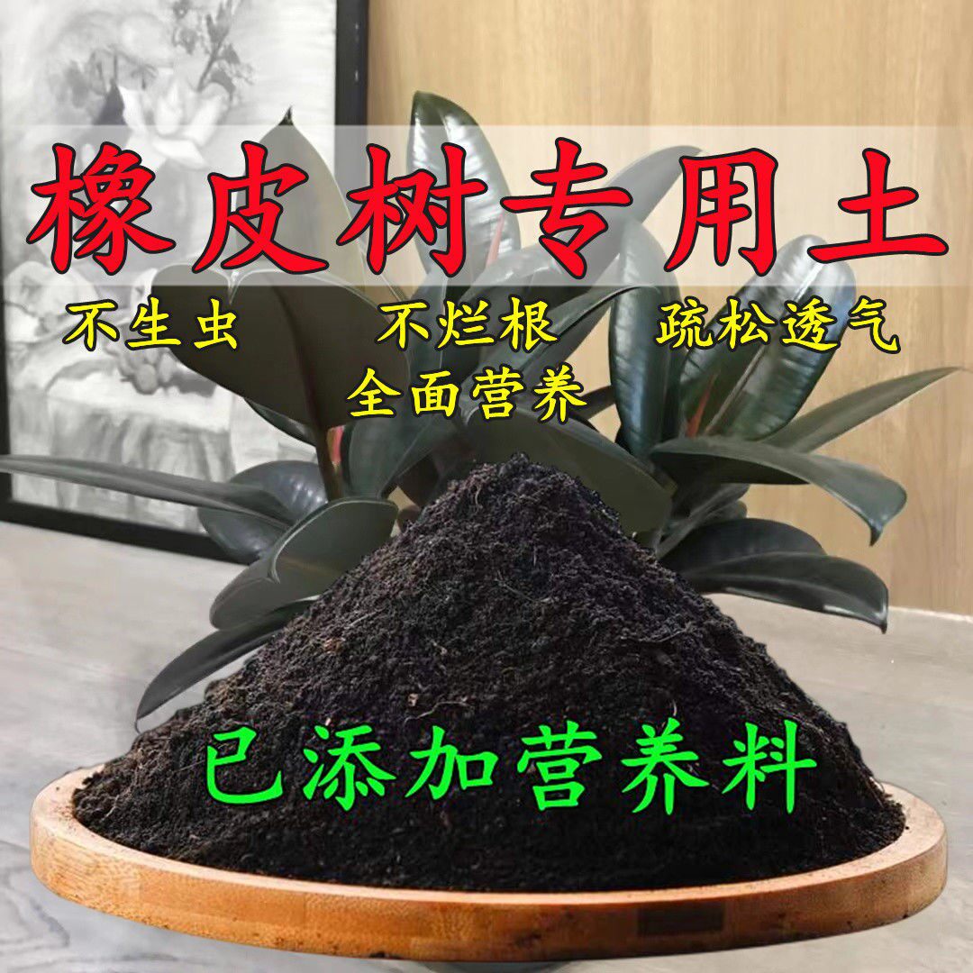 橡皮树专用土橡皮树专用营养土盆栽养花种花土通用种植土有机肥料