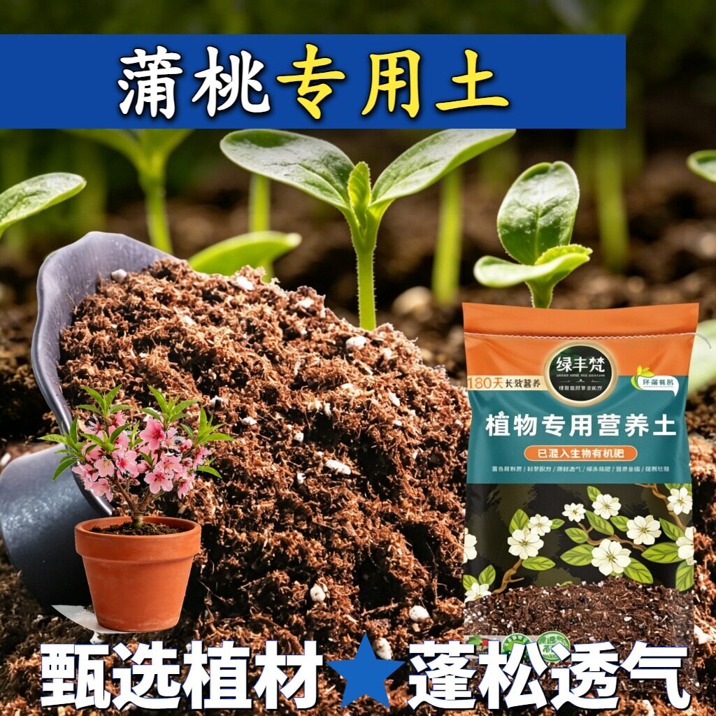蒲桃专用轻质基质土持水性好种植土细腻均匀稳定土团家用装球根