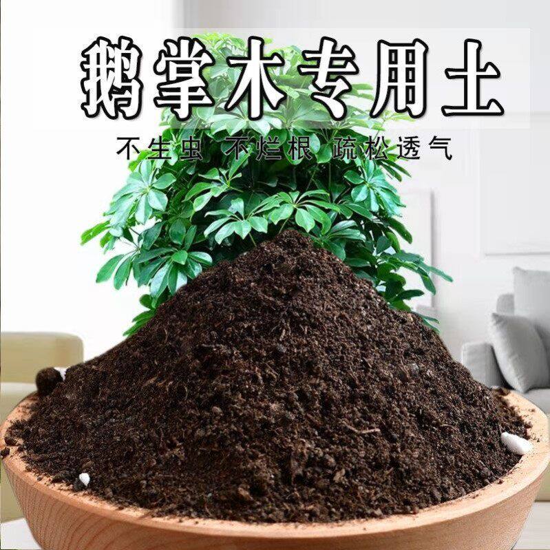 鹅掌木专用土鸭掌木专用营养土盆栽土养花种花土通用种植土壤肥料