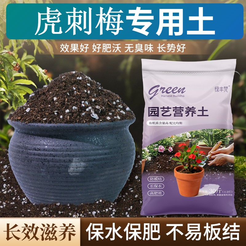 虎刺梅专用腐叶土保水锁肥腐殖泥炭土加深生根粉精选防黄叶观叶