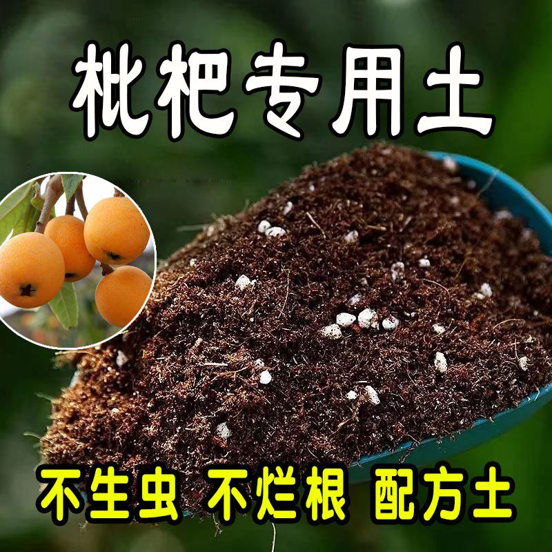 枇杷树专用营养土 枇杷树专用土 盆栽通用型种花养花种植土有机土