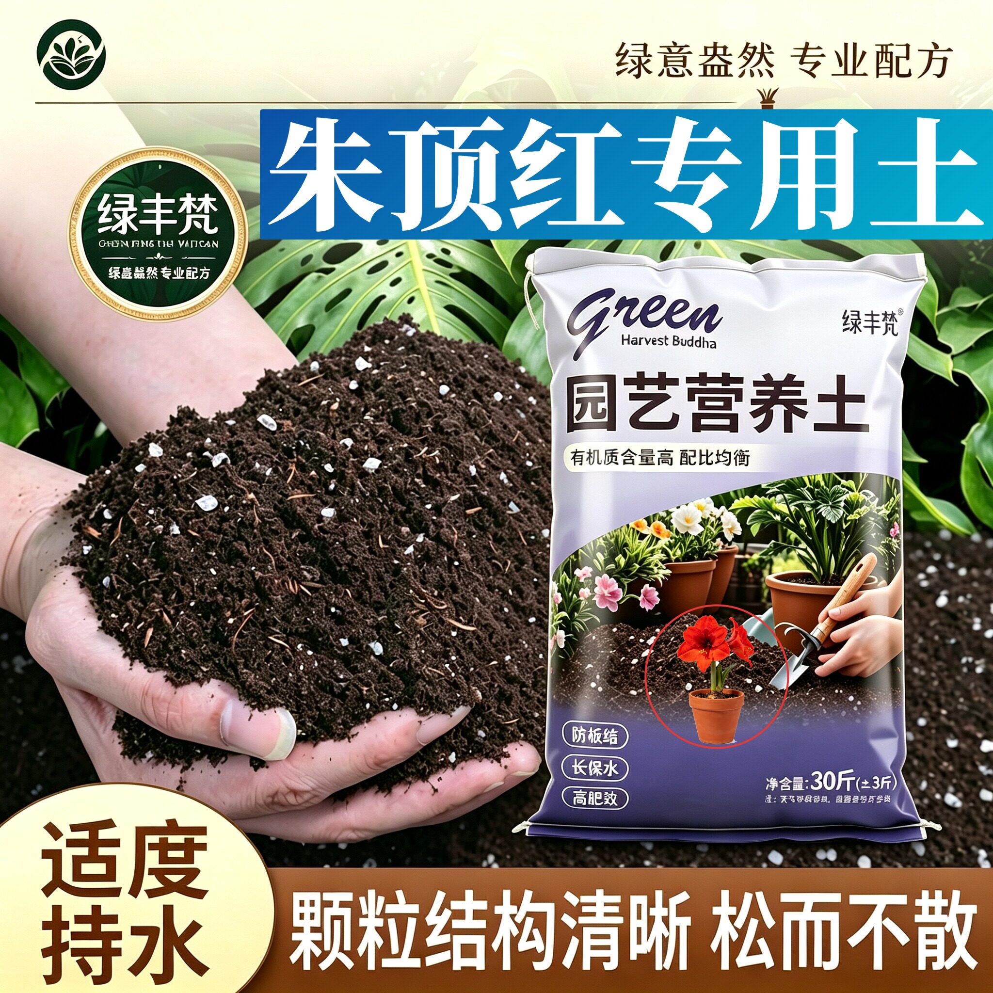 朱顶红专用种菜土根壮苗好高温灭菌菜园加深生根粉精选绿叶球根