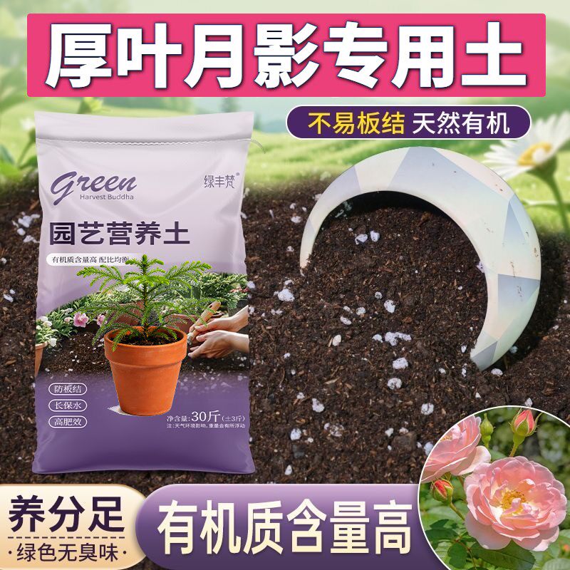 厚叶月影专用盆景土防烂根根壮苗好育苗包邮天然壮根多肉菜园进口