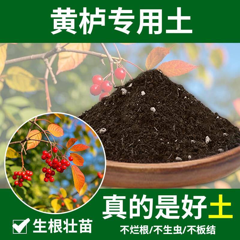 黄栌专用土种植花盆植物天然通用黄栌专用营养土有机土花草种花