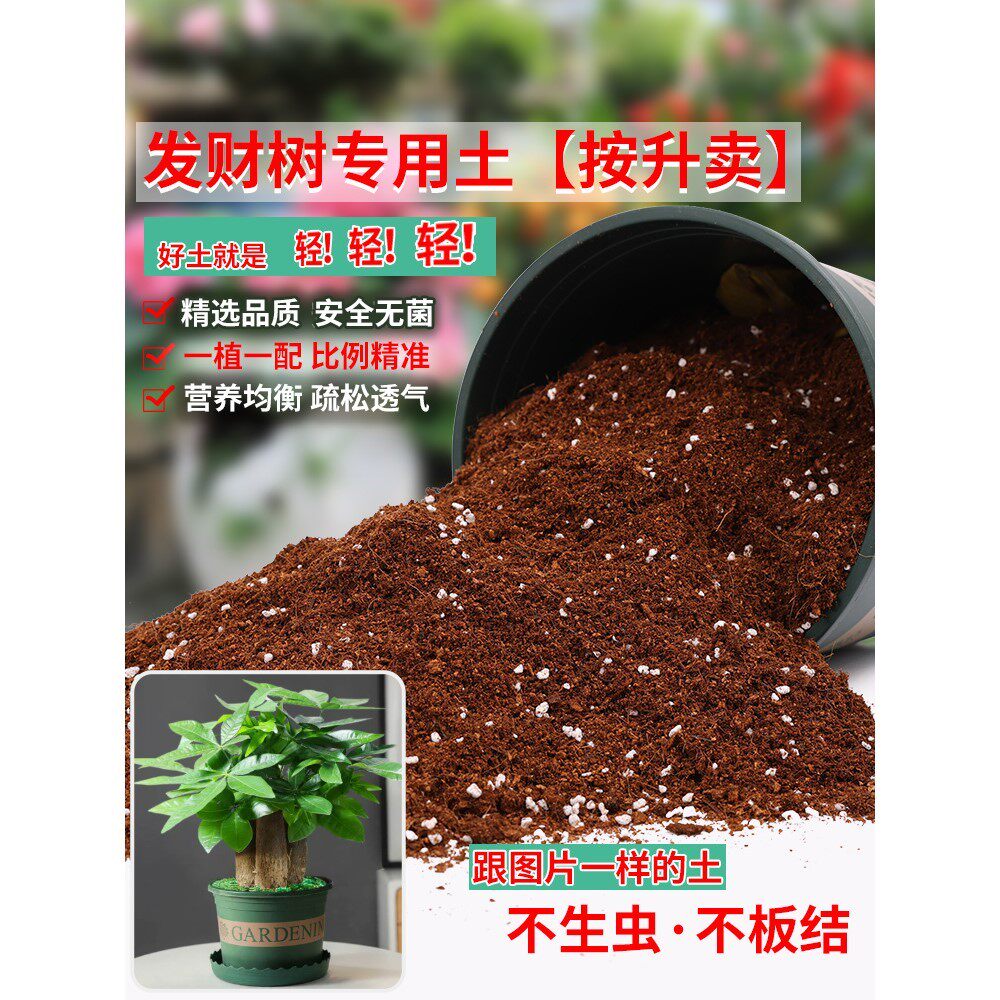 发财树专用土营养土种花专用通用型有机泥土家用盆栽绿植种植土壤