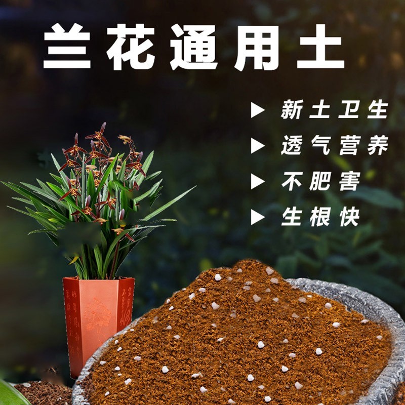 兰花通用型有机土壤建兰国兰专用土寒兰植料花卉营养土盆栽种植土