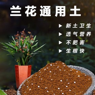 兰花通用型有机土壤建兰国兰专用土寒兰植料花卉营养土盆栽种植土
