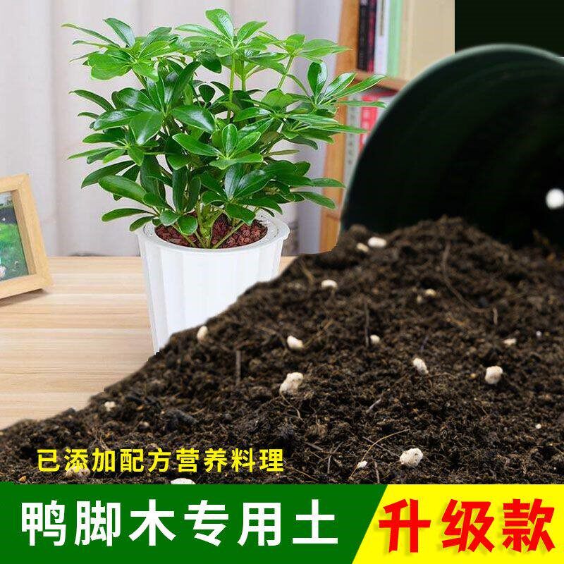 鸭脚木专用土有机土肥料家用种植土鸭脚木营养土盆栽养花通用包邮