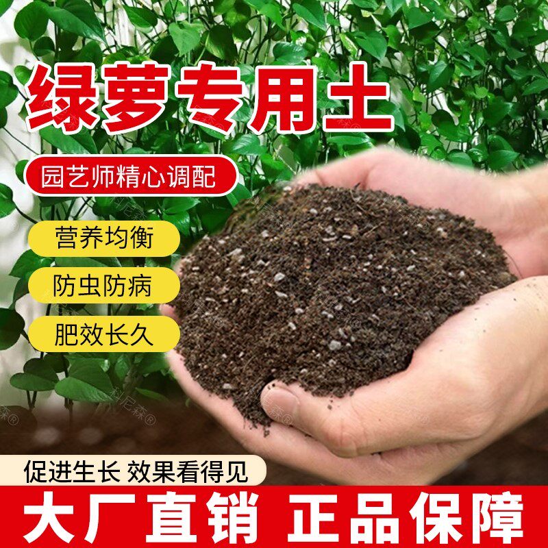 绿萝专用土绿萝专用肥料盆栽土壤室内透气园艺营养土家庭鲜花绿植