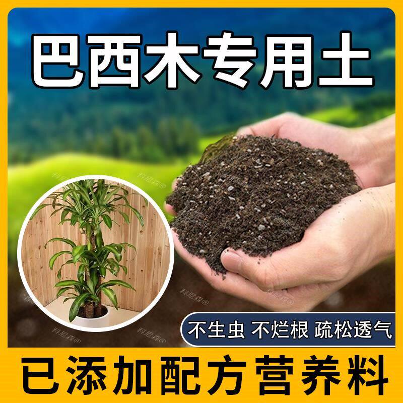 巴西木专用土肥料椰砖绿植家庭巴西木营养土花草育苗花土养花花卉