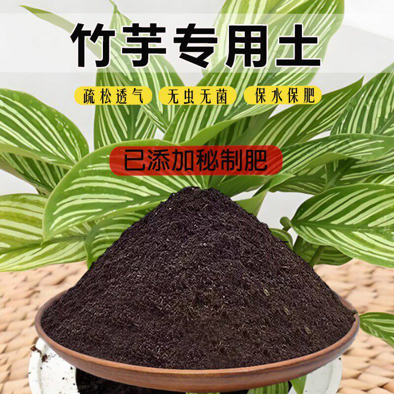 竹芋专用土泥土养花土椰砖土青苹果竹芋营养土通用土有机土种花土