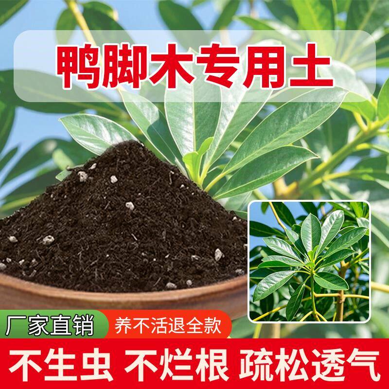 鸭脚木专用土种植花盆养花专用土花卉肥料透气种菜土土壤有机蓬松
