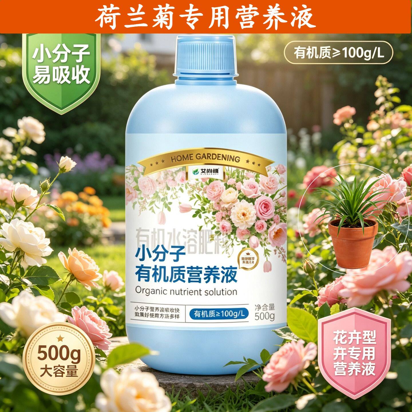 荷兰菊专用浓缩型营养液小分子有机质水溶肥浓缩高效盆栽兑水即用