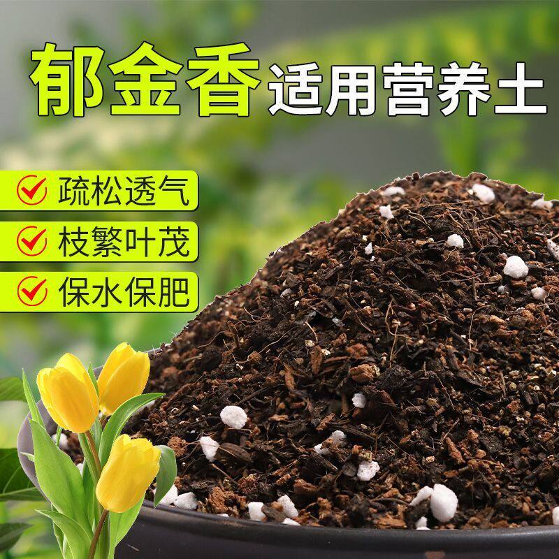 【郁金香专用土】疏松透气盆栽绿植专用室内植物有机营养土肥料