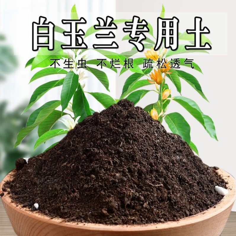 白玉兰专用土玉兰花苗盆栽花卉室内外种植土有机营养土肥料包邮