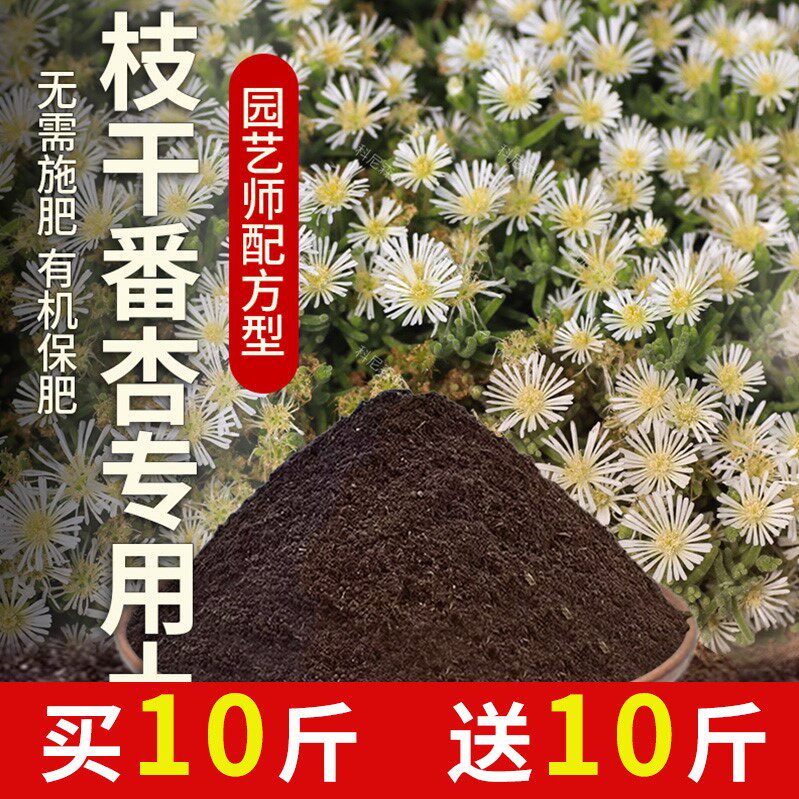 枝干番杏专用土肥料枝干番杏营养土花卉土透气阳台盆栽有机土壤