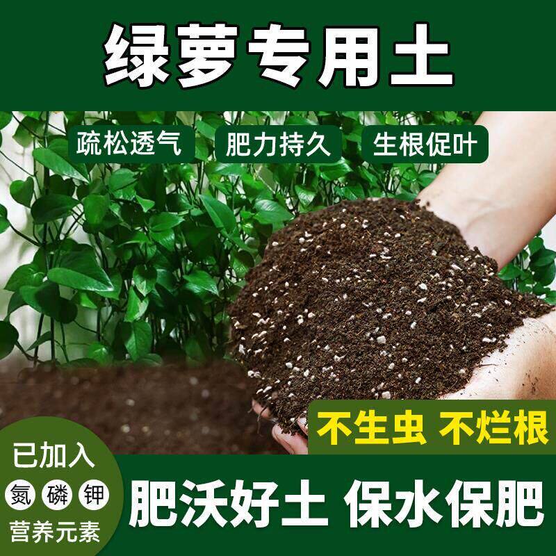 绿萝专用土不烧苗绿箩营养土有机土种植土阳台养花高肥效种花专用