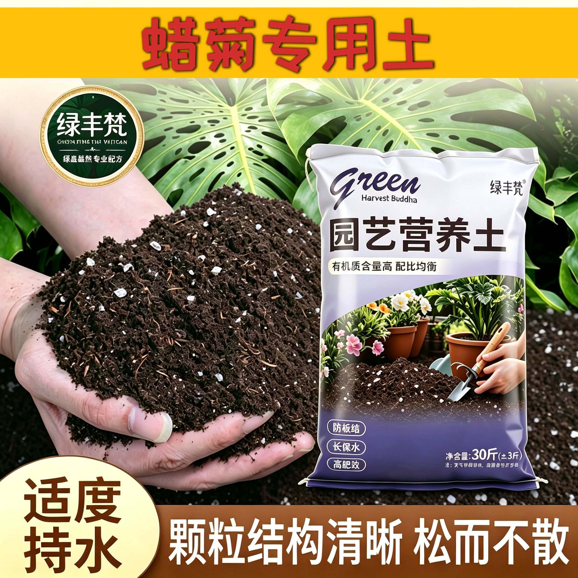 蜡菊适用营养土防烂根花园加深生根粉精选增色木本育苗大包壮根