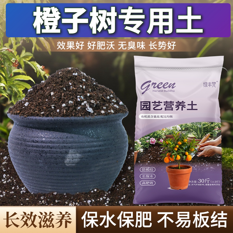 橙子树专用进口泥炭土防烂根园艺泥炭基质进口壮根球根防黄叶盆景