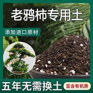 老鸦柿专用土老鸦柿土盆栽盆景营养土酸性沙质土壤绿植种植土肥料