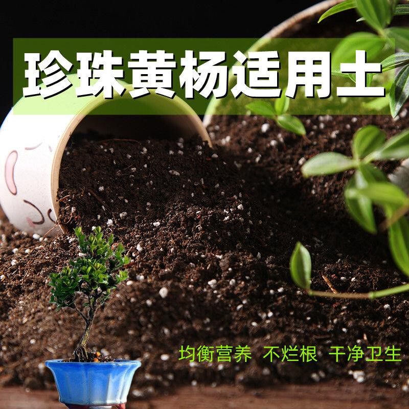 珍珠黄杨适用土营养种花养花营养土通用透气有机土种菜果树种植土
