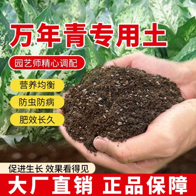 万年青专用土肥料阳台万年青营养土有机土花草种植透气蓬松家庭