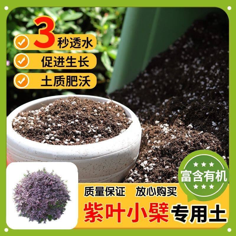 【紫叶小檗专用土】家用盆栽土加生根粉绿植专用有机植物营养肥料