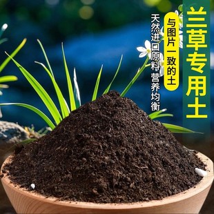 兰草专用土盆栽专用土花土发酵家庭椰砖透气疏松花肥花盆花草通用