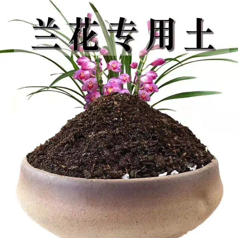 兰花土专用营养土种植兰草专用土壤君子兰土营养土透气疏松兰科土