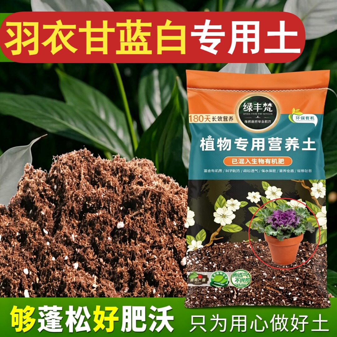 羽衣甘蓝白专用轻质有机土盆栽土质地松软涵养养分无草籽木本
