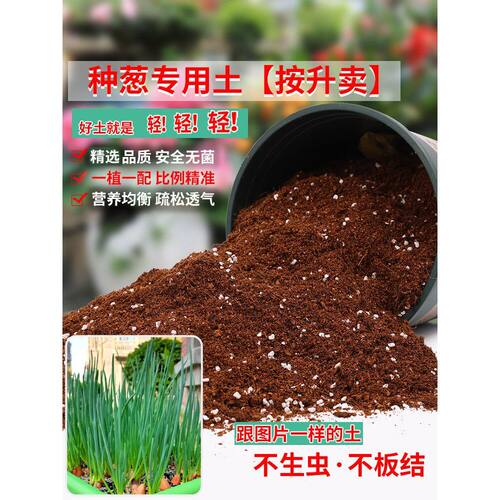 种葱专用土阳台种菜通用型蔬菜种菜种植土专用营养土盆栽香葱土壤