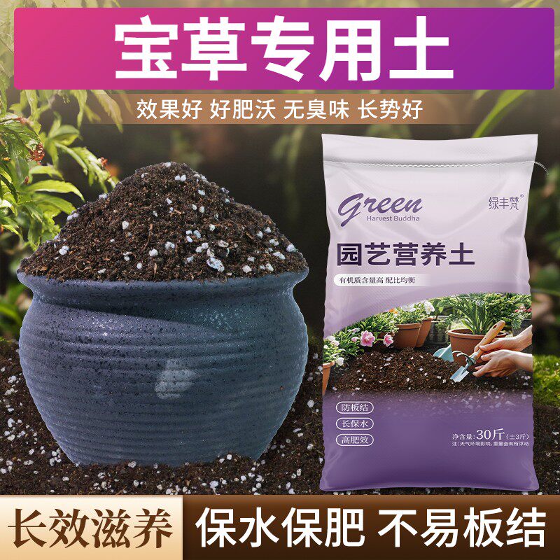 宝草专用含泥炭根壮苗好育苗大包进口防徒长木本适用加深生根粉