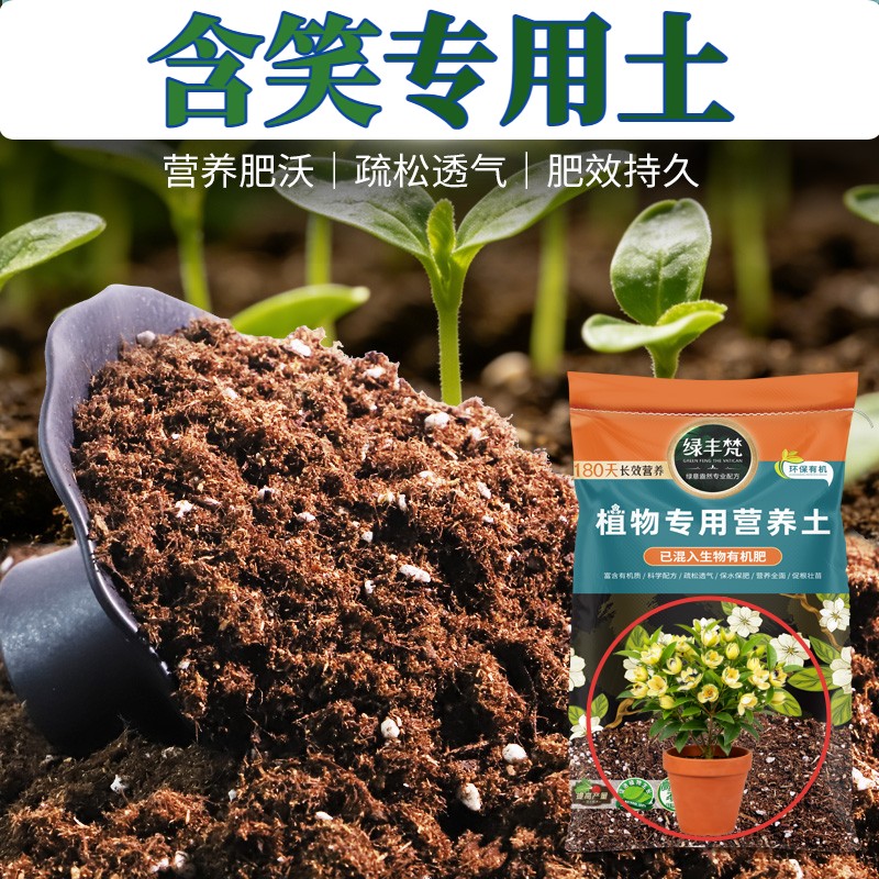 含笑适用花泥排水顺畅月季盆栽土无菌减少积水试用装多肉保水保肥