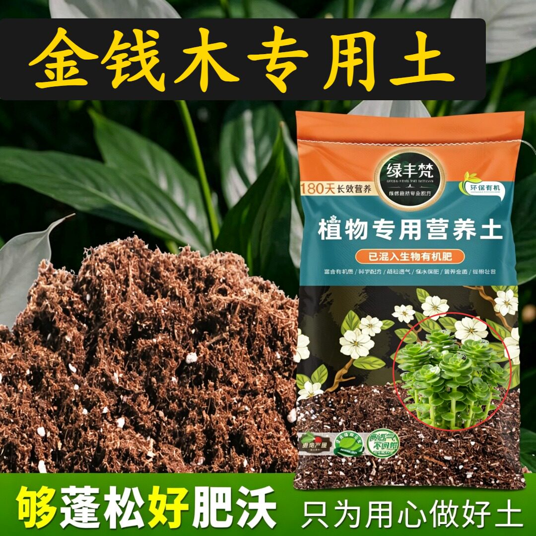 金钱木专用花泥防烂根月季营养土原料甄选促生长家用装观花有机