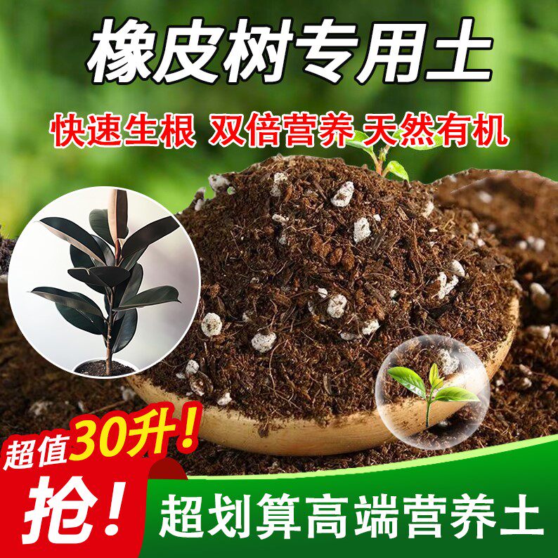 橡皮树盆栽养花土不闷根加珍珠岩菜园园艺加深生根粉盆景土防烂根