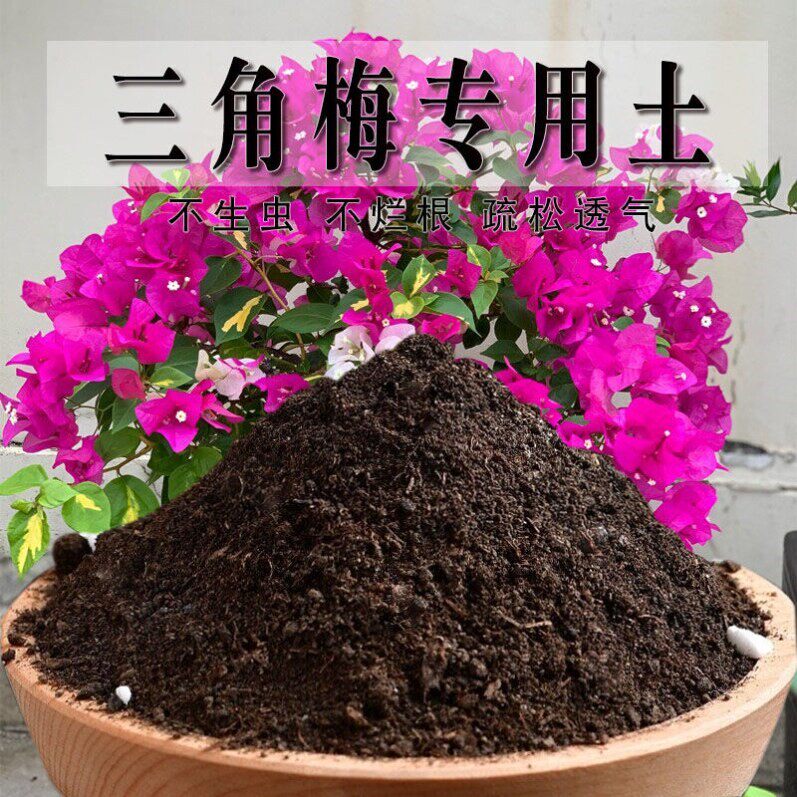 三角梅专用土三角梅营养土通用型盆栽土壤园艺有机肥花盆疏松天然图片