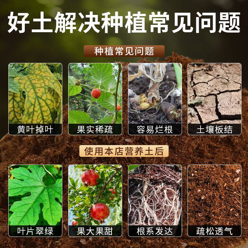 大枣专用园艺土保水保肥阳台种植土配比科学缓冲肥效无草籽多肉