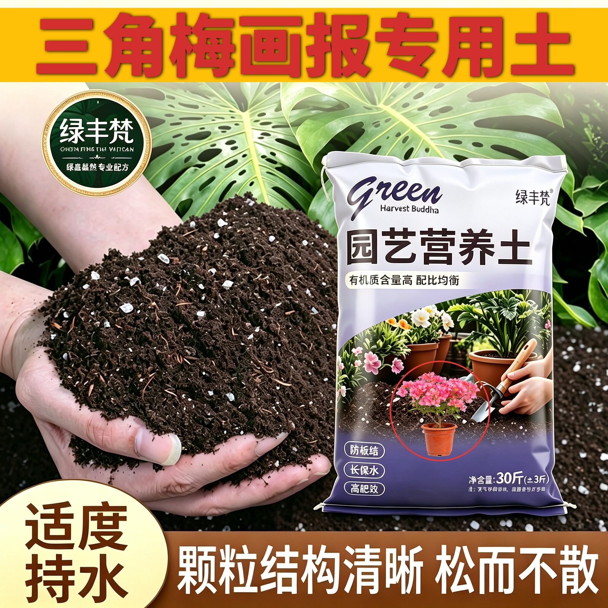 三角梅画报适用种植土不板结园艺加牛粪天然壮根喜酸加深生根粉